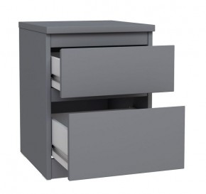 2.03.03.050.4 КАСТОР тумба 2 ящика RU серая в Режи - rezh.ok-mebel.com | фото 2