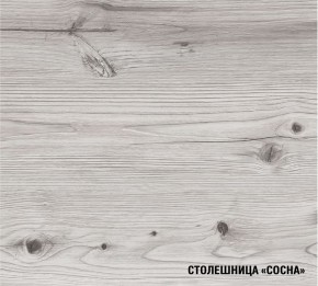 АСАЯ Кухонный гарнитур Экстра 2 (3000 мм) ПМ в Режи - rezh.ok-mebel.com | фото 8
