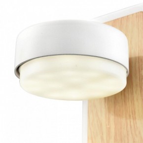 Бра Lumion LELAND 8263/1W в Режи - rezh.ok-mebel.com | фото 9