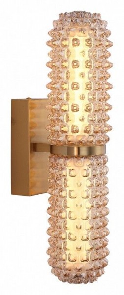 Бра ST-Luce SAGUARO SL6144.301.01 в Режи - rezh.ok-mebel.com | фото 2