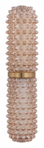 Бра ST-Luce SAGUARO SL6144.301.01 в Режи - rezh.ok-mebel.com | фото 4
