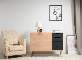 БРЮС Комод 16.233 в Режи - rezh.ok-mebel.com | фото 2