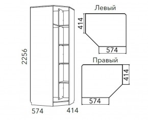 Детская Фанк Шкаф угловой Левый/Правый НМ 013.04-02 М в Режи - rezh.ok-mebel.com | фото 3