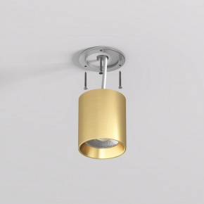 DK2610-SB Накладной светильник SHINE TUBE со светодиодом, D70*H80, IP20, 3000К, 10W, RA?90, сатинированная латунь, алюминий в Режи - rezh.ok-mebel.com | фото 3