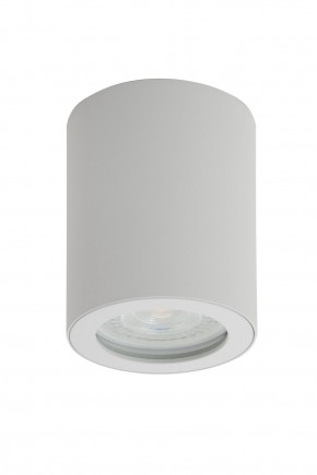 DK3007-WH Накладной светильник влагозащ., IP 44, 15 Вт, GU10, белый, алюминий в Режи - rezh.ok-mebel.com | фото