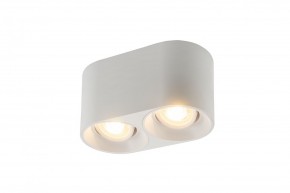 DK3036-WH Светильник накладной IP 20, 10 Вт, GU5.3, LED, белый, пластик в Режи - rezh.ok-mebel.com | фото