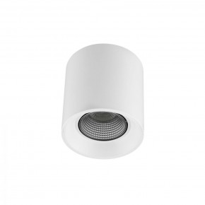 DK3090-WH+CH Светильник накладной IP 20, 10 Вт, GU5.3, LED, белый/хром, пластик в Режи - rezh.ok-mebel.com | фото