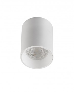 DK3110-WH Светильник накладной IP 20, 10 Вт, GU5.3, LED, белый, пластик в Режи - rezh.ok-mebel.com | фото 1