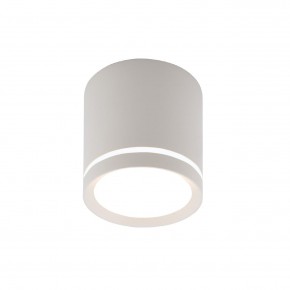 DK4013-WH Светильник накладной IP 20, 5 Вт, LED 4000, белый, алюминий/акрил в Режи - rezh.ok-mebel.com | фото