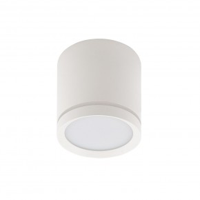 DK4016-WH Светильник накладной IP 20, 5 Вт, LED 3000, белый, алюминий/акрил в Режи - rezh.ok-mebel.com | фото 2