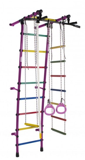 ДСК Стелла цв.фиолетовый радуга: турник, кольца, канат, трапеция, веревочная лестница в Режи - rezh.ok-mebel.com | фото