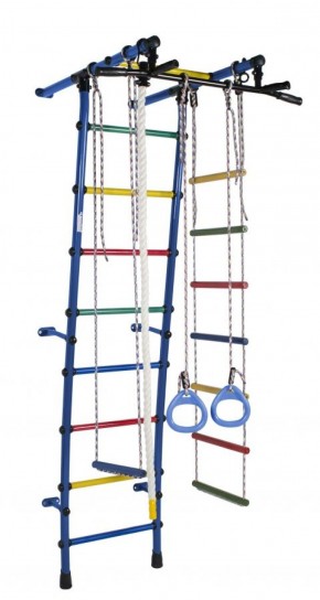 ДСК Стелла цв.синий радуга: турник, кольца, канат, трапеция, веревочная лестница в Режи - rezh.ok-mebel.com | фото