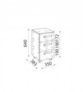 Дуглас подростковая (модульная) в Режи - rezh.ok-mebel.com | фото 31