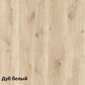 Эйп Шкаф комбинированный 13.14 в Режи - rezh.ok-mebel.com | фото 4