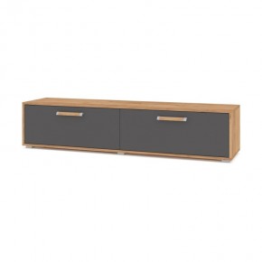 ФЛОРИДА Гостиная (модульная) дуб золотой/графит в Режи - rezh.ok-mebel.com | фото 5