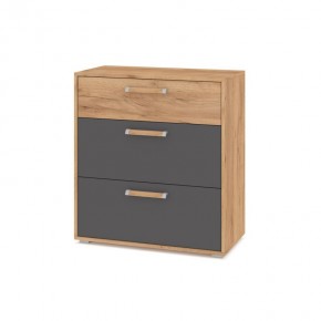 ФЛОРИДА Гостиная (модульная) дуб золотой/графит в Режи - rezh.ok-mebel.com | фото 8
