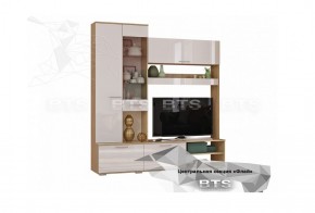 Гостиная Флай (ЦС-01/ШК-04) дуб сонома/белый в Режи - rezh.ok-mebel.com | фото 4