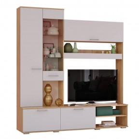 Гостиная Флай (ЦС-01/ШК-04) дуб сонома/белый в Режи - rezh.ok-mebel.com | фото 3