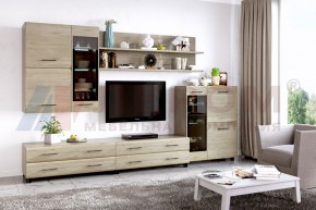 Гостиная Камелия Композиция 6 (Гикори Джексон светлый) в Режи - rezh.ok-mebel.com | фото
