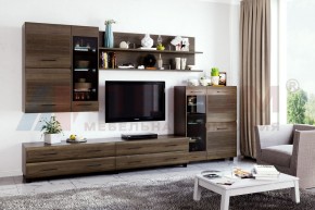 Гостиная Камелия Композиция 6 (Гикори Джексон темный) в Режи - rezh.ok-mebel.com | фото