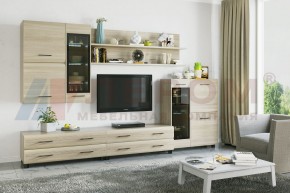 Гостиная Камелия Композиция 6 (Ясень Асахи) в Режи - rezh.ok-mebel.com | фото
