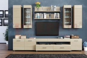 Гостиная Камелия Композиция 9 (Ясень Асахи) в Режи - rezh.ok-mebel.com | фото