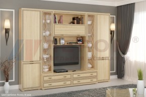 Гостиная Карина Композиция 19 (Ясень Асахи) в Режи - rezh.ok-mebel.com | фото 1