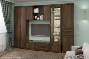 Гостиная Карина Композиция 21 (Акация Молдау) в Режи - rezh.ok-mebel.com | фото