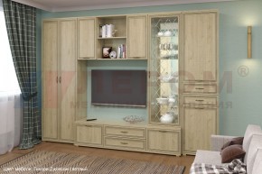 Гостиная Карина Композиция 21 (Гикори Джексон светлый) в Режи - rezh.ok-mebel.com | фото 6