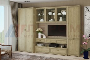 Гостиная Карина Композиция 23 (Гикори Джексон светлый) в Режи - rezh.ok-mebel.com | фото