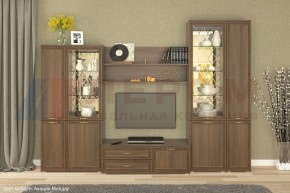 Гостиная Карина Композиция 24 (Акация Молдау) в Режи - rezh.ok-mebel.com | фото