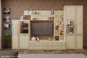 Гостиная Карина Композиция 5 (Ясень Асахи) в Режи - rezh.ok-mebel.com | фото 1