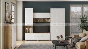 МИЛАН-1 Гостиная (модульная) в Режи - rezh.ok-mebel.com | фото 10