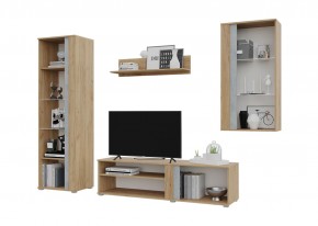 Гостиная Омега (Крафт золотой-Бетон) в Режи - rezh.ok-mebel.com | фото 3