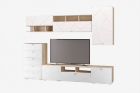 Гостиная Скайлайн набор ДБ- 2 (дуб сонома светлый/белый) в Режи - rezh.ok-mebel.com | фото