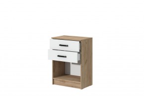 Комод Эконом (Дуб крафт золотой/Белый текстурный) в Режи - rezh.ok-mebel.com | фото 2