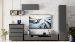 Комод Сибити в Режи - rezh.ok-mebel.com | фото 5