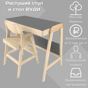 Комплект растущий стол и стул 38 попугаев «Вуди» (Серый, Без покрытия) в Режи - rezh.ok-mebel.com | фото