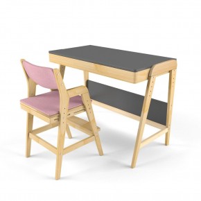 Комплект растущий стол и стул с чехлом 38 попугаев «Вуди» (Серый, Береза, Розовый) в Режи - rezh.ok-mebel.com | фото