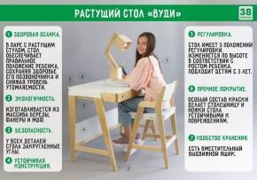 Комплект растущий стол и стул с чехлом 38 попугаев «Вуди» (Серый, Береза, Салют) в Режи - rezh.ok-mebel.com | фото