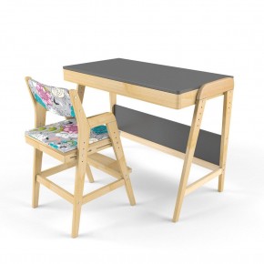 Комплект растущий стол и стул с чехлом 38 попугаев «Вуди» (Серый, Без покрытия, Мечта) в Режи - rezh.ok-mebel.com | фото