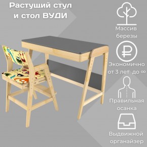 Комплект растущий стол и стул с чехлом 38 попугаев «Вуди» (Серый, Без покрытия, Монстры) в Режи - rezh.ok-mebel.com | фото