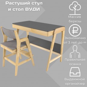Комплект растущий стол и стул с чехлом 38 попугаев «Вуди» (Серый, Без покрытия, Серый) в Режи - rezh.ok-mebel.com | фото