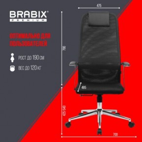 Кресло BRABIX PREMIUM "Ultimate EX-801" хром, плотная двойная сетка Х2, черное, 532917 в Режи - rezh.ok-mebel.com | фото 7
