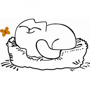 Кровать двухуровневая Кот № 900.1 ЛЕВАЯ (туя светлая/белый) в Режи - rezh.ok-mebel.com | фото 2