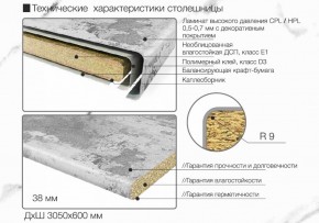 Кухонный фартук со столешницей (А-013) в едином стиле (3050 мм) в Режи - rezh.ok-mebel.com | фото 6