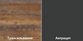 Кухонный гарнитур угловой Трансильвания 2400x1600 мм (Стол. 38 мм) в Режи - rezh.ok-mebel.com | фото 3