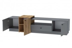 Квадро Т-1 Тумба под ТВ (ЛДСП графит-дуб крафт золотой) в Режи - rezh.ok-mebel.com | фото 2