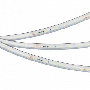 Лента светодиодная Arlight IC-PS-A60-10mm 24V 050656 в Режи - rezh.ok-mebel.com | фото