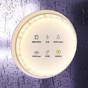 Лента светодиодная Maytoni Led strip 10111 в Режи - rezh.ok-mebel.com | фото 3